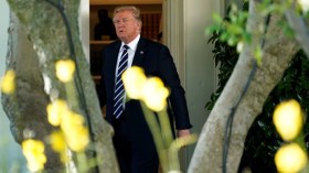 قاض أمريكي يجمد قرار ترامب بحظر السفر