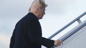 فيديو يظهر حقيقة شعر ترامب!