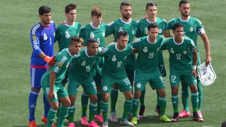 صغار المحاربين الأفضل في 2015