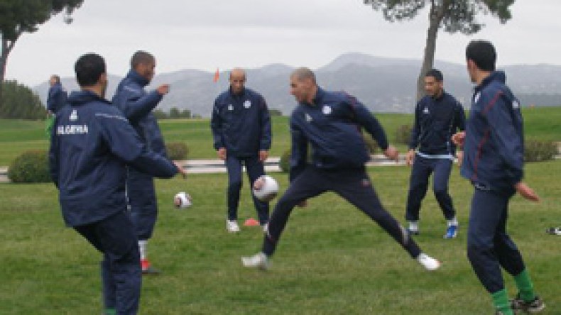 تعداد الخضر يكتمل والجميع يفكر في مواصلة المسيرة