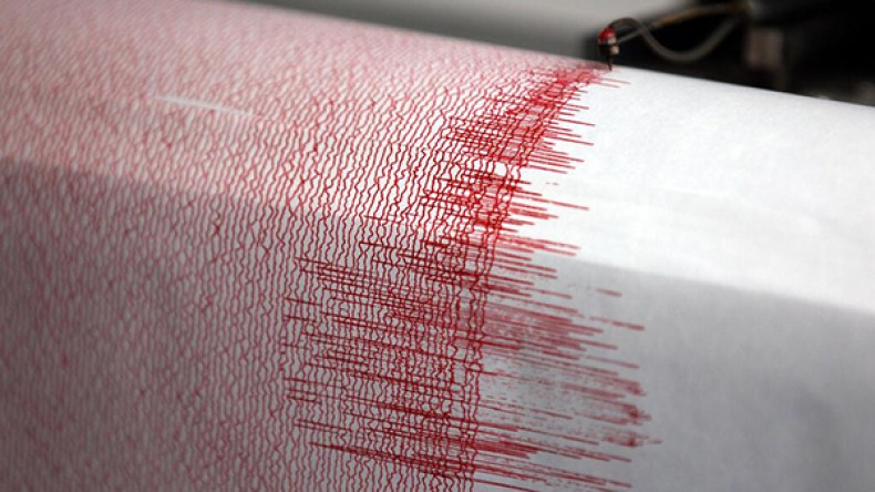 مقتل أربعة أفغان في زلزال هز جنوب إيران