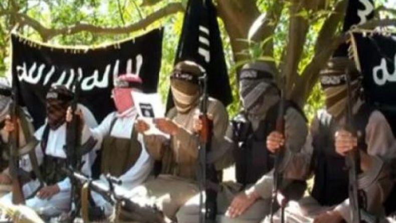 أنصار بيت المقدس في مصر تبايع البغدادي