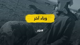 “صغار المجترات”.. وباء جديد وأسئلة حول الوقاية!