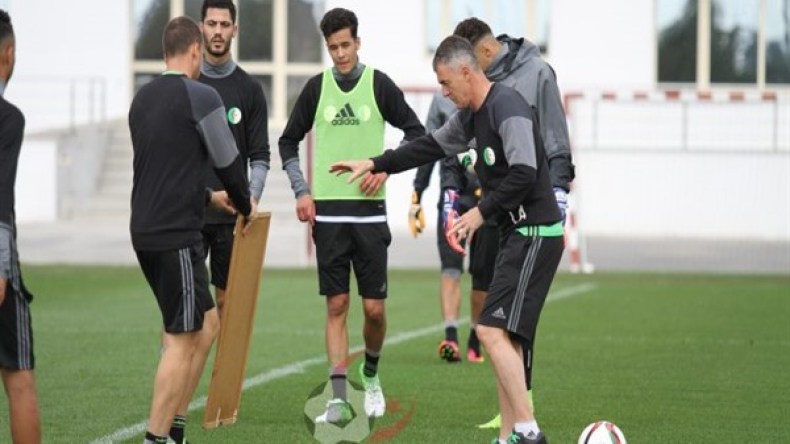 المنتخب الوطني المحلي يواجه مصر وديا يوم 10 جوان