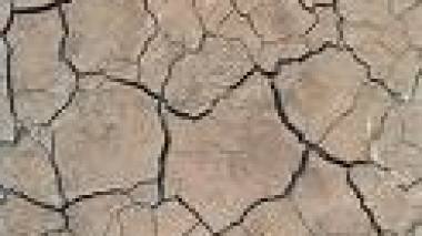 La désertification, un défi majeur pour la région arabe selon un rapport