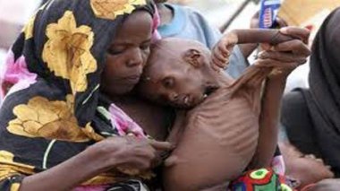 ONU-FAO :  un être humain sur sept est victime de sous-alimentation