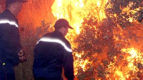 الحرائق تأتي على 80 هكتارا من القمح والشعير بسوق أهراس