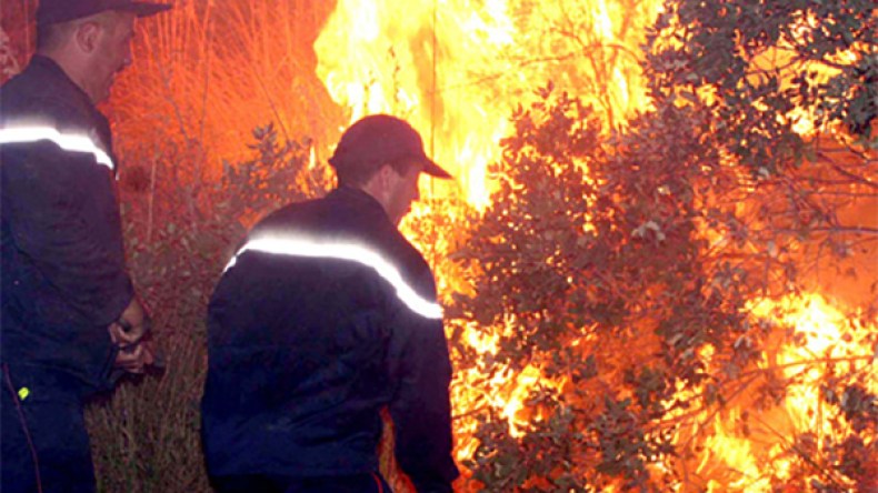 كورونا.. الحرائق والعطش تصنع معاناة سكان تيزي وزو