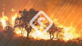 جماعات مافويوية ورجال أعمال وراء الحرائق لنهب العقار!