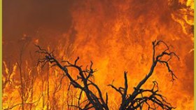 نادي المخاطر الكبرى يحذر: الجزائر مهددة بـ 10 كوارث طبيعية