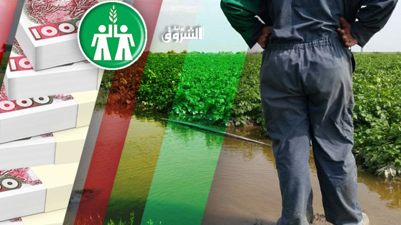 22 مليارا تعويضات للفلاحين ضحايا الفيضانات والرياح والبرد!