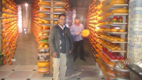 “الشروق العربي” تقف على كيفية صناعة “الجبن الهولندي”