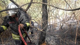 إخماد 26 حريقا وتسجيل 14 حادث مرور في عدة ولايات