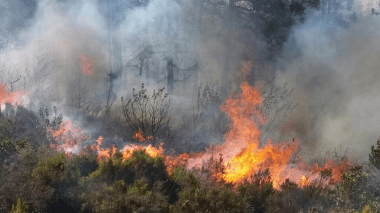 Feux de forêts: une cellule de veille installée