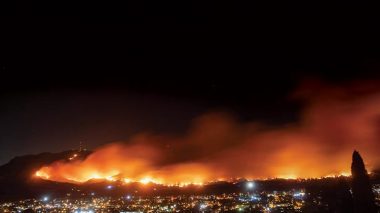 Les récents départs de feu de forêts sont “volontaires”