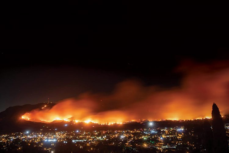 Les récents départs de feu de forêts sont “volontaires”