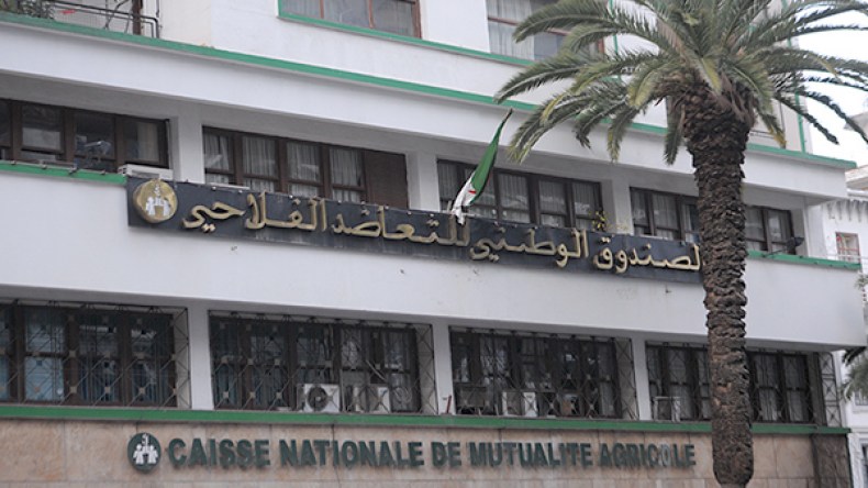 “رنة هاتف.. لتعويض الفلاحين عن الحرائق في ظرف 10 أيام”!