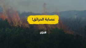 حرائق الغابات في الجزائر.. أي دور للعصابة؟!