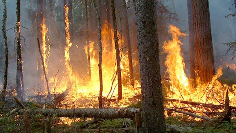 محرقة.. و”شهود لم يشاهدوا شيئا”!