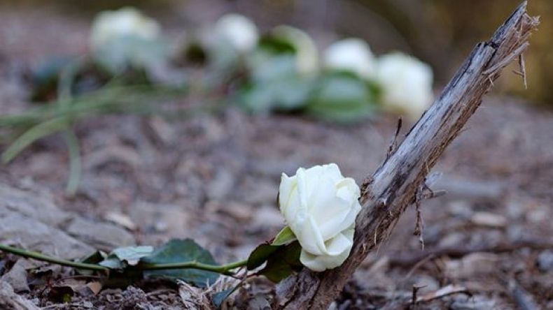 تحطم طائرة سياحية في شرق فرنسا ومقتل قائدها