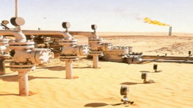 L’Algérie a les capacités d’augmenter ses exportations vers l’Europe avec la reprise économique (UIG)