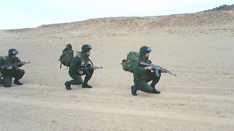 القبض على المسلحين الليبيين رسالة لكل من تسول له نفسه تجاوز الحدود