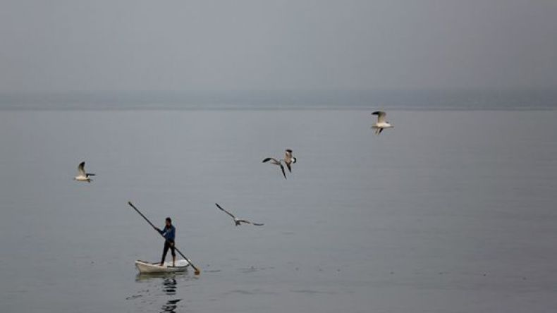 بحرية الاحتلال تعتقل صيادين فلسطينيين قبالة شواطئ غزة