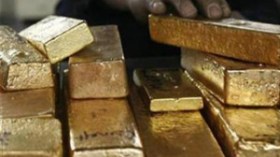 شركة‭ ‬أسترالية‭ ‬بتمنراست‭ ‬تستعمل‭ ‬أموال‭ ‬الذهب‭ ‬الجزائري‭ ‬في‭ ‬تربية‭ ‬الإبل‭!‬