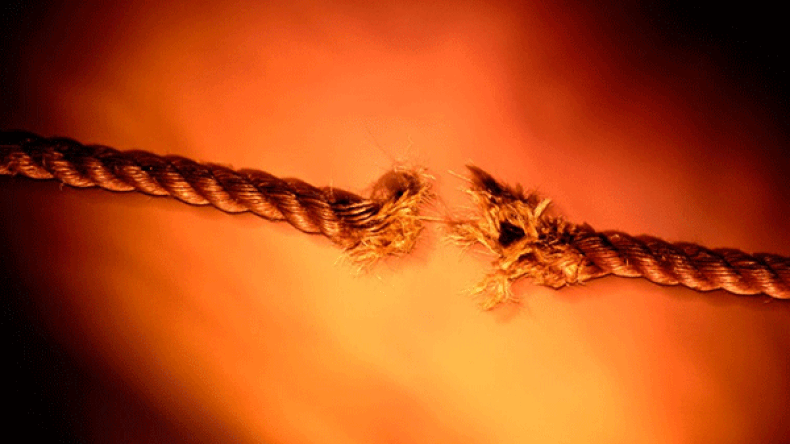 الذين يزرعون الجراح