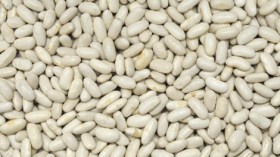 الزوالية يقاطعون اللوبيا ويعتبرونها غذاء الأغنياء