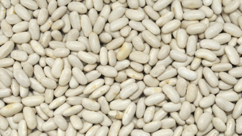 الزوالية يقاطعون اللوبيا ويعتبرونها غذاء الأغنياء