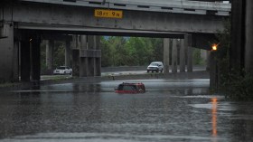 الإعصار هارفي يشل رابع أكبر مدينة أمريكية