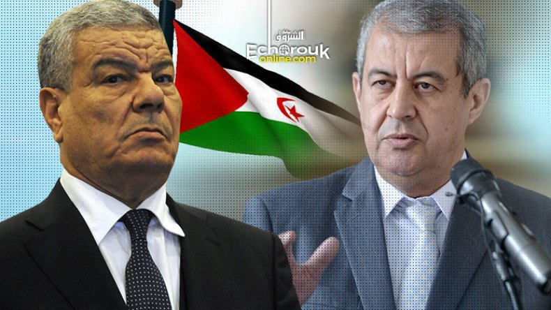 موقف الجزائر ثابت من قضية الصحراء الغربية وتصريحات سعداني “لا تساوي مثقال ذرة”