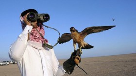 باكستانيون يهاجمون قافلة صيد لأمير قطري