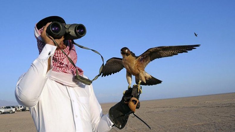 باكستانيون يهاجمون قافلة صيد لأمير قطري