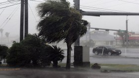 الإعصار هارفي يضرب سواحل تكساس