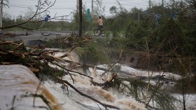 الإعصار ماريا يدمر بورتوريكو ويقتل 32 في الكاريبي