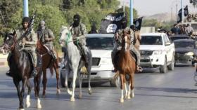 ذبح قيادي مصري في داعش شرقي سوريا
