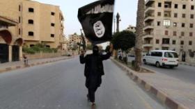 مقاتلون في سوريا يرحبون بإعلان “الخلافة” الإسلامية