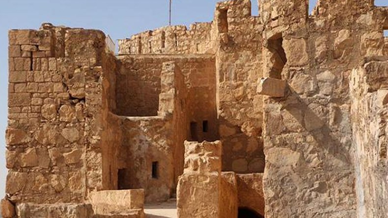 “داعش” يقطع رأس عالم آثار في تدمر