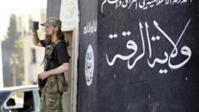 سوريا: داعش يقتل 270 خلال الاستيلاء على حقل غاز
