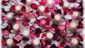 لا ترمي الورود الذابلة بعد اليوم؟!