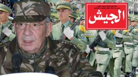 “سنقطع الطريق على الدونكيشوتيين والعصابة ومن والاها”