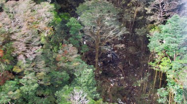 Crash d'un avion en Indonésie: 54 corps retrouvés, aucun survivant