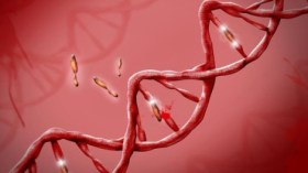 اكتشاف أول حالة إصابة بفيروس كورونا في مصر
