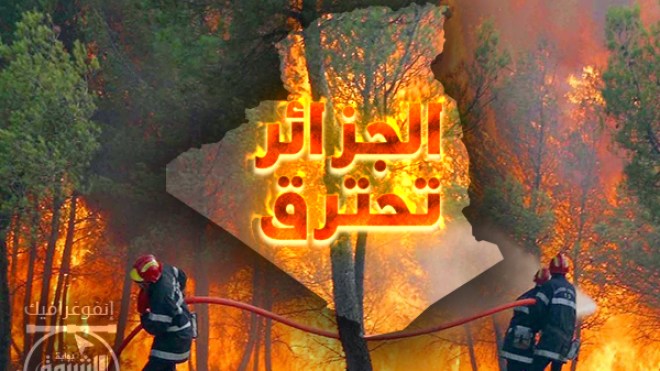 حرائق الغابات في الجزائر