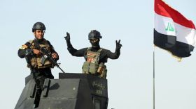 القوات العراقية تدخل الفلوجة