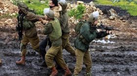 جيش الاحتلال يعتقل 36 فلسطينياً في الضفة الغربية