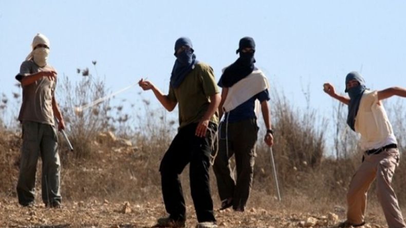 مستوطنون يحرقون أراض ويعتدون على مزارعين فلسطينيين