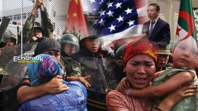 “واثق من تفهم الجزائر لإجراءات مكافحة التطرف والإرهاب التي اتخذناها”